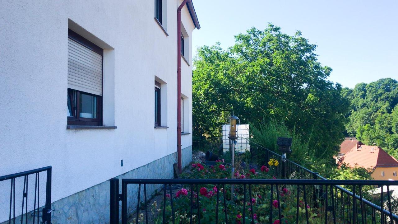 Schlossberg Apartments & Garten In Der Natur & Unweit Vom "Thueringer Meer" Unterwellenborn Екстериор снимка