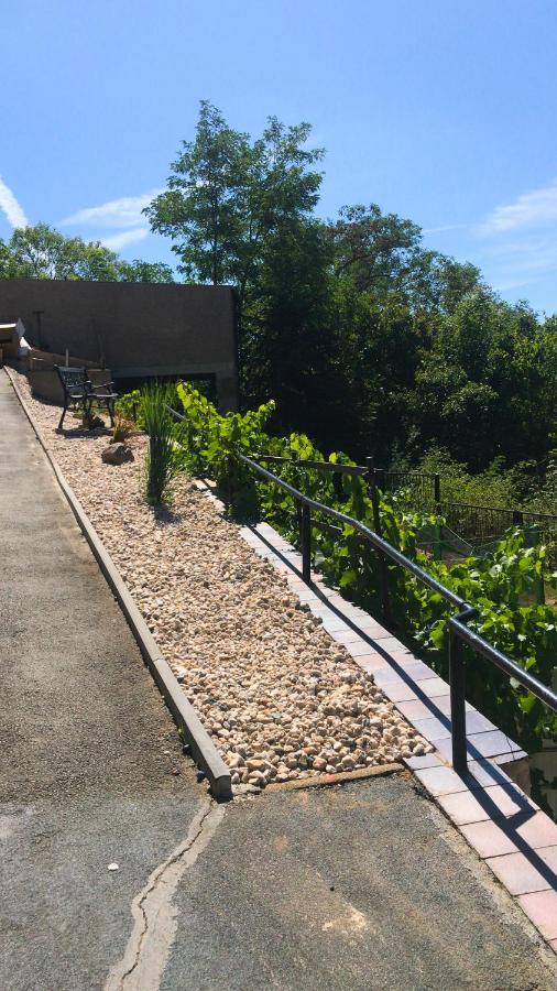 Schlossberg Apartments & Garten In Der Natur & Unweit Vom "Thueringer Meer" Unterwellenborn Екстериор снимка